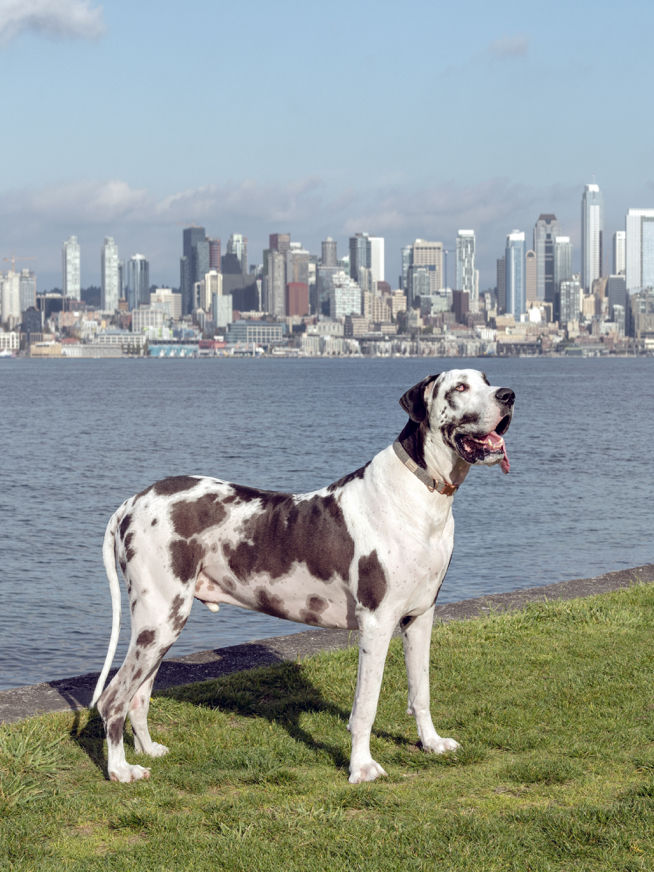 Seattle